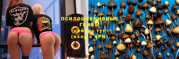 кокс Абаза