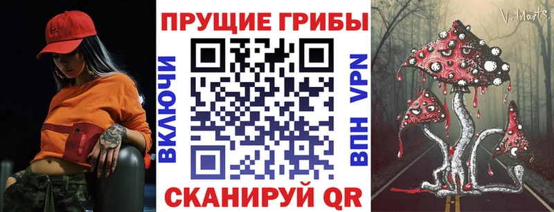 даркнет наркотические препараты  где можно купить наркотик  Лабытнанги  Галлюциногенные грибы MAGIC MUSHROOMS 